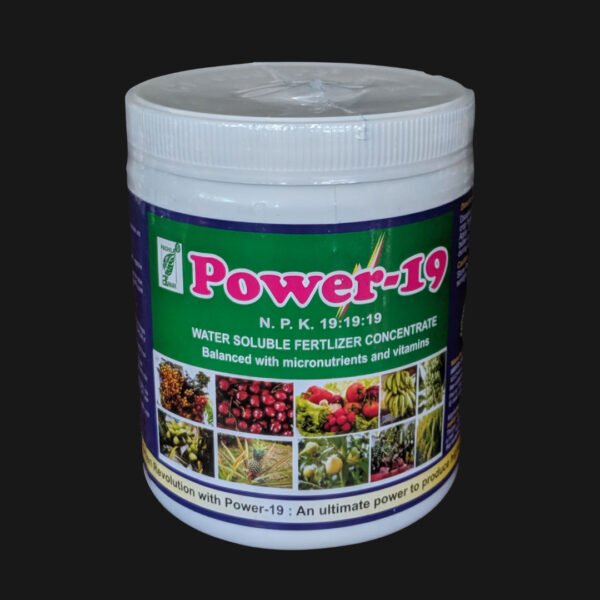 Power-19 NPK Fertilizer